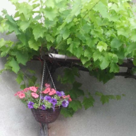 Apartment Staleta Tartuf リヴァデ エクステリア 写真